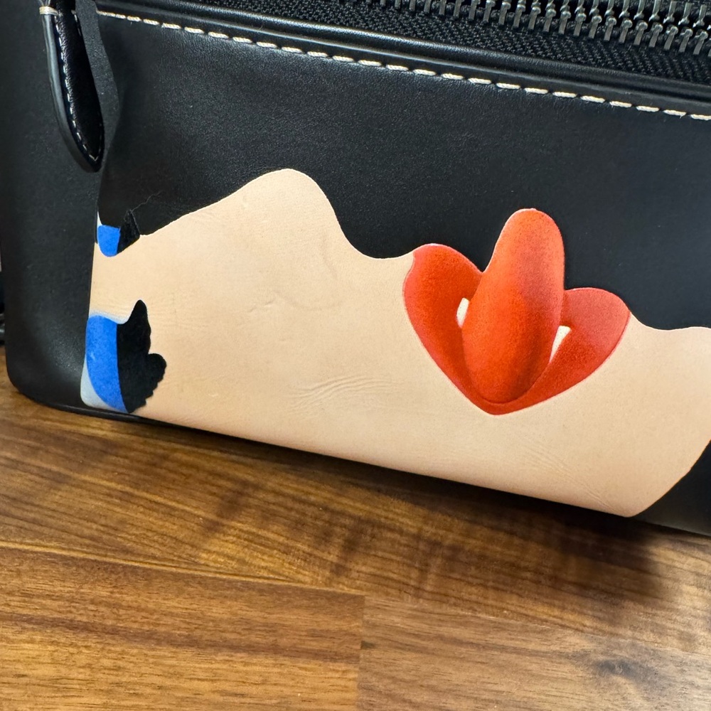Coach x Tom Wesselmann Backpack NWT - Picture 8 of 9